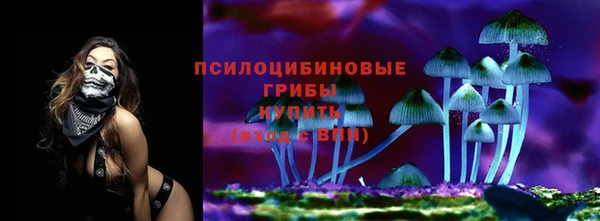 герыч Бикин