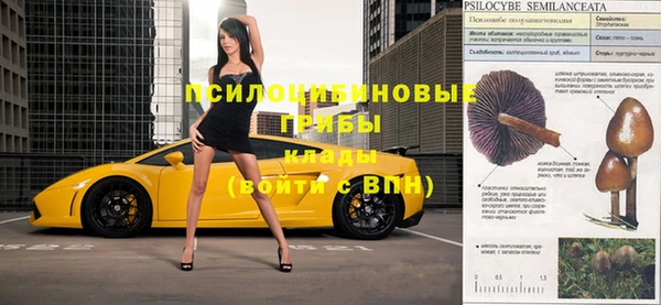 стафф Билибино