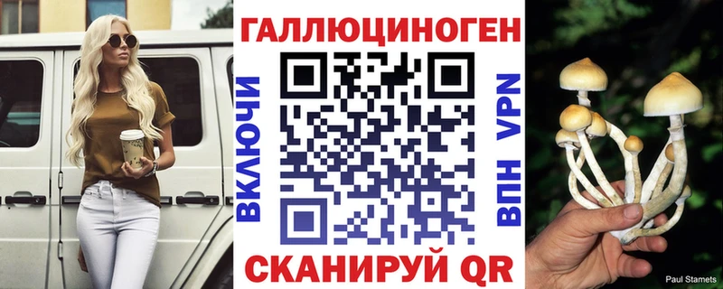 Галлюциногенные грибы Psilocybe  Лобня 