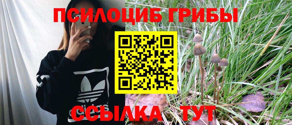 Галлюциногенные грибы Psilocybine cubensis Лобня